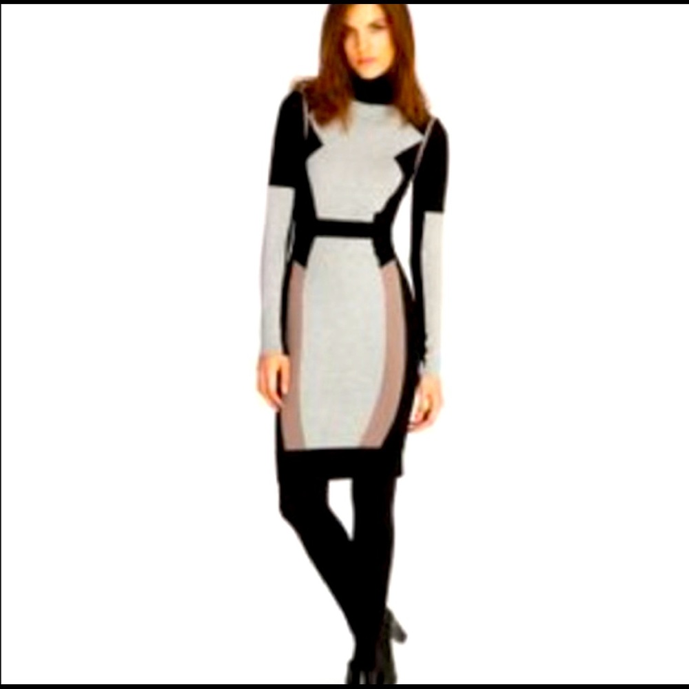 Karen Millen knit colorblock turtleneck dress
